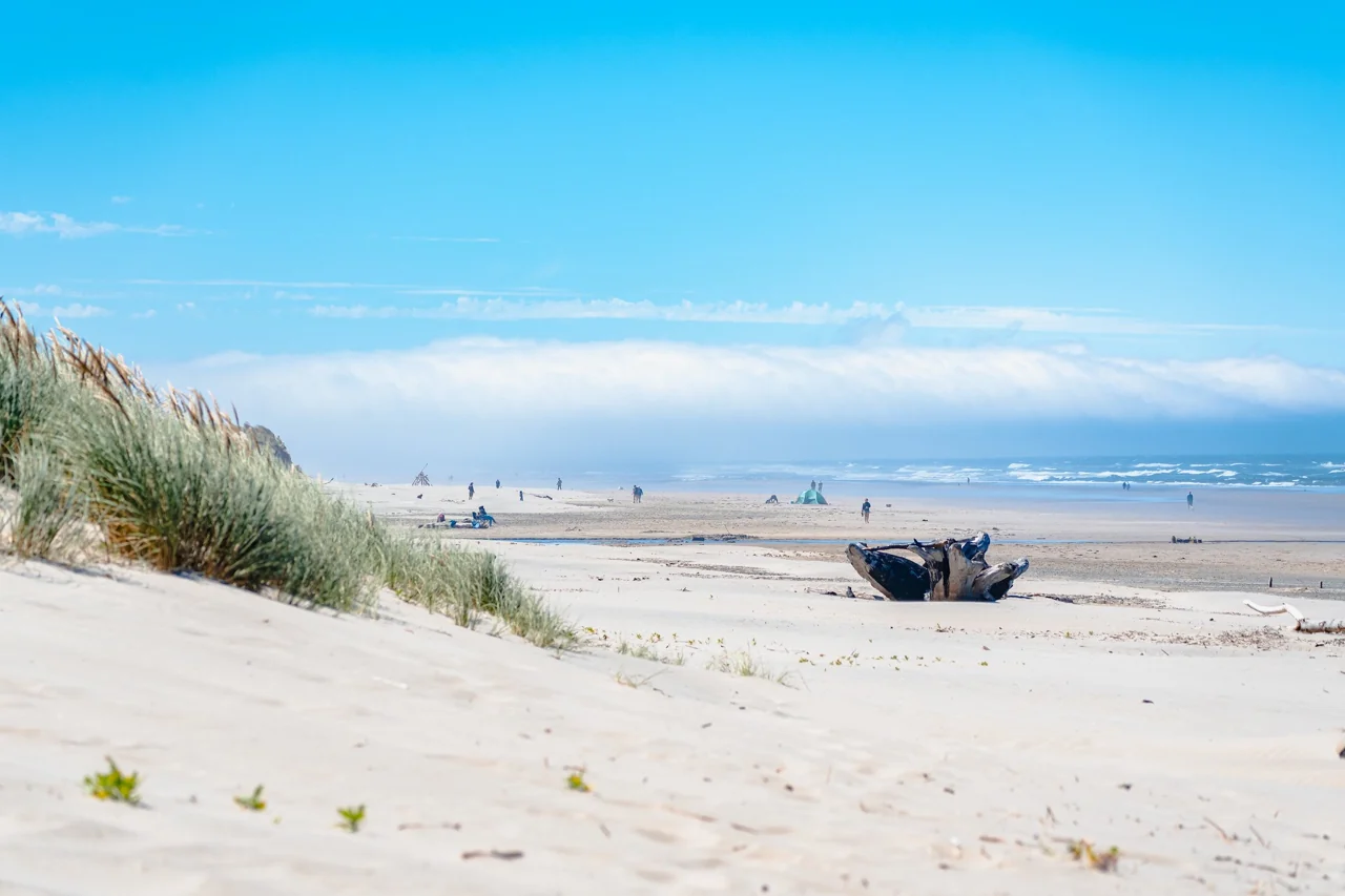 Beach and dunes on the Oregon Coast